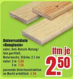 B1 Discount Baumarkt Universaldiele Douglasie Angebot