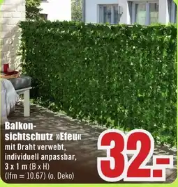 B1 Discount Baumarkt Balkonsichtschutz Efeu Angebot