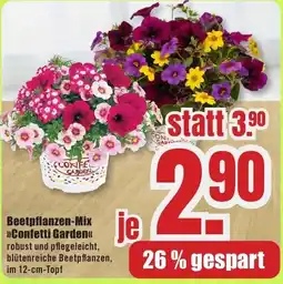 B1 Discount Baumarkt Beetpflanzen-Mix Confetti Garden Angebot