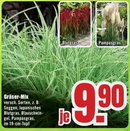 B1 Discount Baumarkt Gräser-Mix Angebot