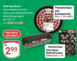 Globus OHO Backform Angebot