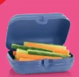 Kaufland Tupperware Kleiner Twin Angebot