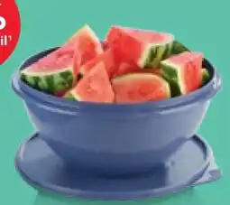 Kaufland Tupperware Wonderlier Angebot