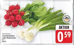 E-Center Lauchzwiebeln Angebot