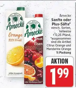 E-Center Amecke sanfte orange Angebot