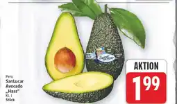 E-Center Sanlucar avocado 'hass' Angebot