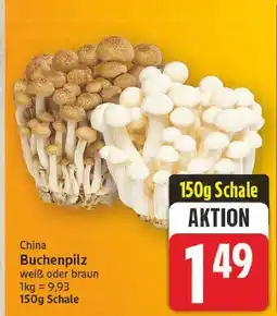 E-Center Buchenpilz weiß Angebot