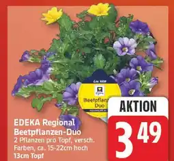Edeka Edeka regional beetpflanzen-duo Angebot