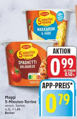 Edeka Maggi 5-minuten-terrine makkaroni & käse Angebot