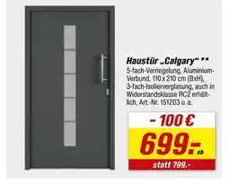 toom Baumarkt Haustür 'calgary' Angebot