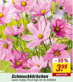 toom Baumarkt Schmuckkörbchen Angebot
