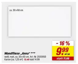 toom Baumarkt Wandfliese anna Angebot