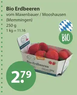 V Markt Bio erdbeeren Angebot