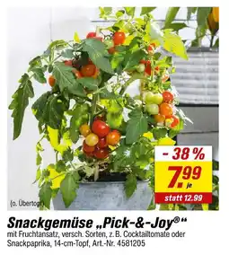 toom Baumarkt Snackgemüse 'pick-&-joy' Angebot