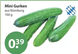 V Markt Mini gurken Angebot