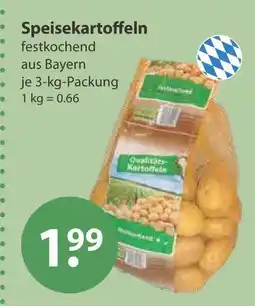 V Markt Speisekartoffeln Angebot