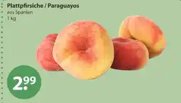 V Markt Plattpfirsiche / paraguayos Angebot
