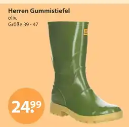 V Markt Herren gummistiefel Angebot