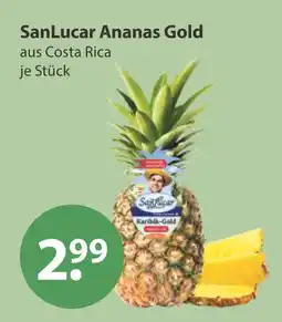 V Markt Sanlucar ananas gold Angebot