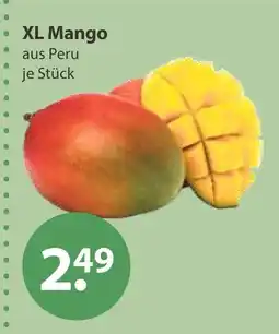 V Markt Xl mango Angebot