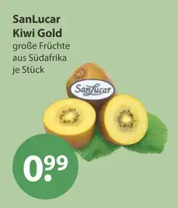 V Markt Sanlucar kiwi gold Angebot