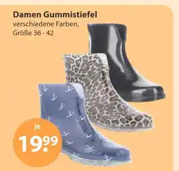V Markt Damen gummistiefel - schwarz Angebot