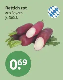 V Markt Rettich rot Angebot