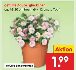 Netto Marken-Discount Gefüllte zauberglöckchen Angebot