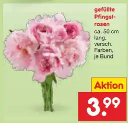 Netto Marken-Discount Gefüllte pfingstrosen Angebot