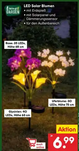 Netto Marken-Discount Led solar blumen Angebot