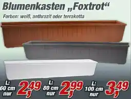 Posten Börse Blumenkasten ,,Foxtrot" Angebot