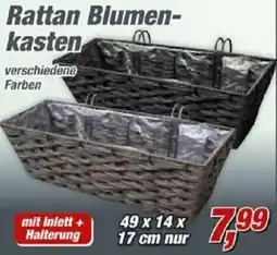 Posten Börse Rattan Blumenkasten Angebot