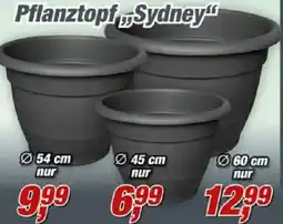 Posten Börse Pflanztopf Sydney Angebot