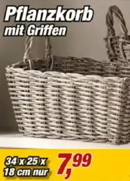 Posten Börse Pflanzkorb mit Griffen Angebot