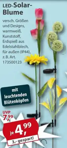 Sonderpreis Baumarkt LED-Solar Blume Angebot