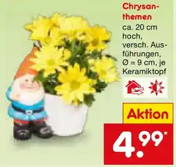 Netto Marken-Discount Chrysanthemen Angebot