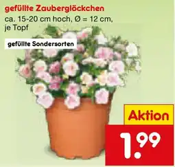 Netto Marken-Discount gefüllte Zauberglöckchen Angebot