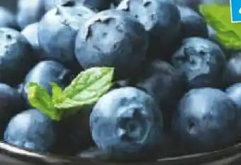 Netto Marken-Discount Heidelbeeren Angebot