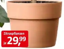 Bauhaus Pflanztopf 'Perfetto' Angebot