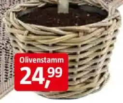 Bauhaus Pflanztopf 'DRYPOT' Angebot