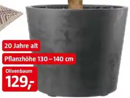 Bauhaus Pflanztopf 'Millennium' Angebot