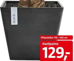 Bauhaus Ecopots Pflanztopf 'Rotterdam' Angebot