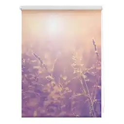 Netto Marken-Discount Lichtblick Rollo Klemmfix, ohne Bohren, Verdunkelung, Sommerabend - Orange Angebot