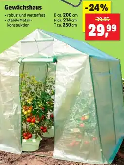 Thomas Philipps Gewächshaus Angebot