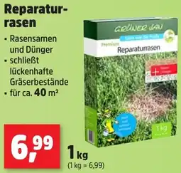 Thomas Philipps GRÜNER JAN Reparaturrasen Angebot