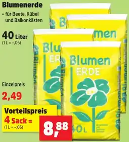 Thomas Philipps Blumenerde Angebot