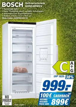 expert Techno Land BOSCH Gefrierschrank SN54DWCV Angebot