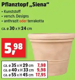 Thomas Philipps Pflanztopf ,,Siena" Angebot
