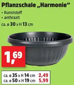 Thomas Philipps Pflanzschale ,,Harmonie" Angebot