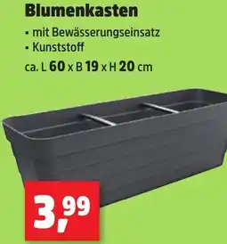 Thomas Philipps Blumenkasten Angebot